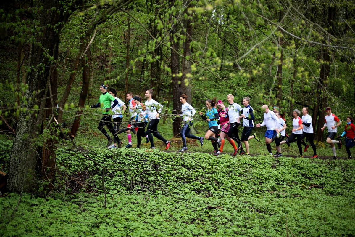 Start trail running – Interview with Team Nordic Trail | Gococo