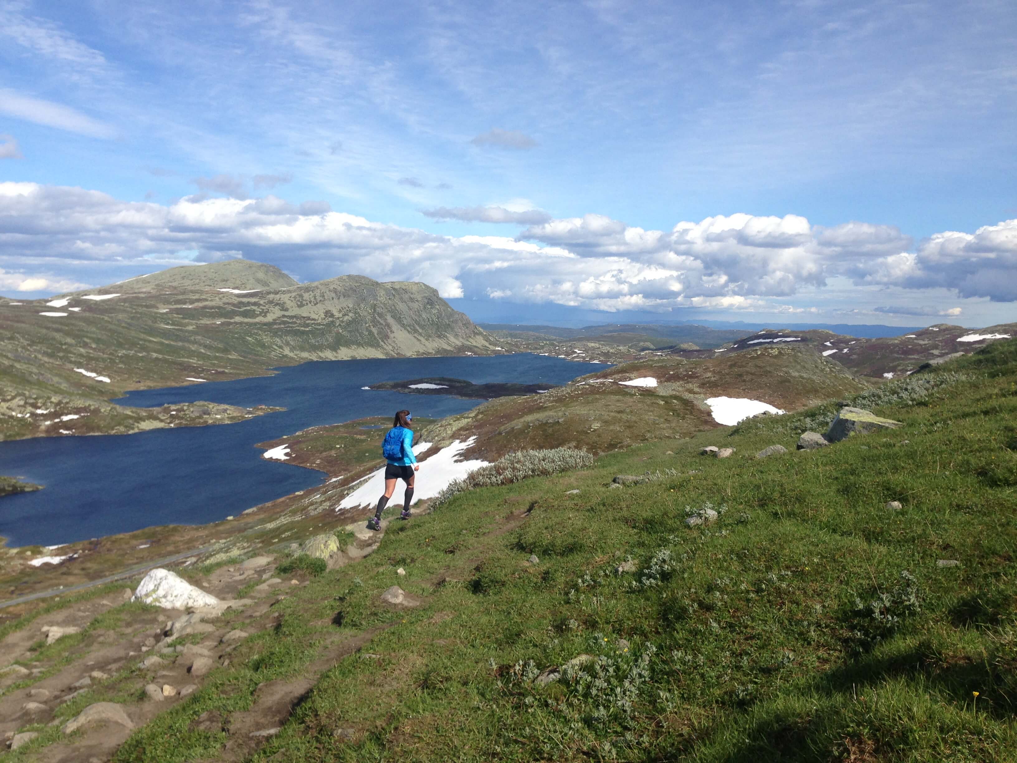 Trail löpare som springer på fjället